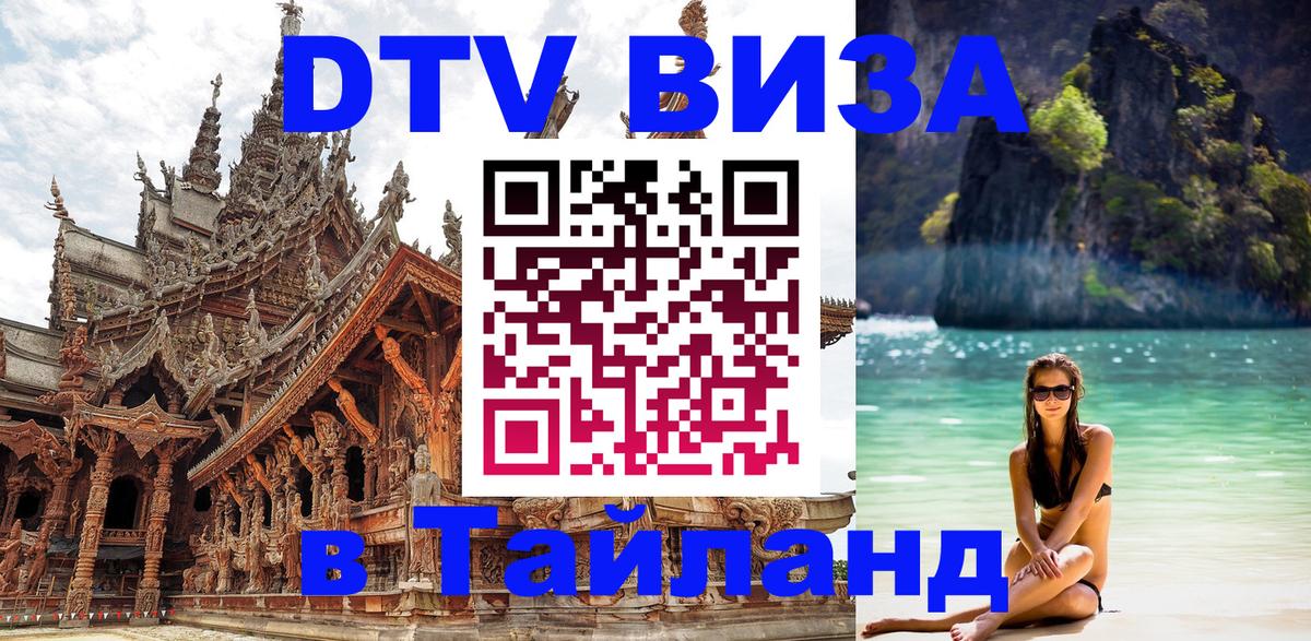 Оформление DTV визы под ключ: стоимость и тарифы, только загранпаспорт - Тхимпху 
